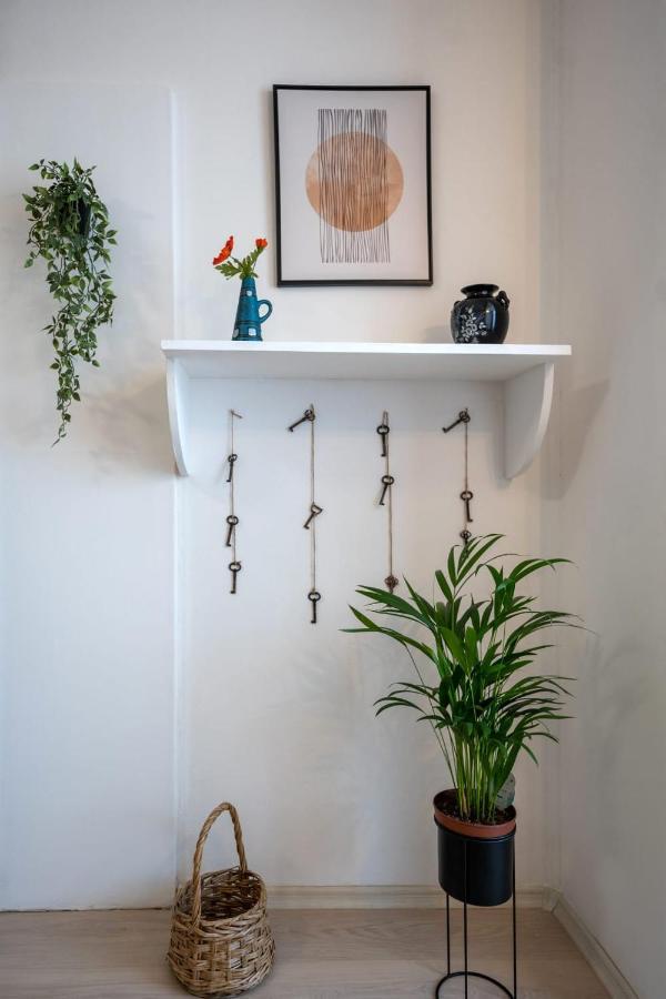 Nya Apartment シギショアラ エクステリア 写真